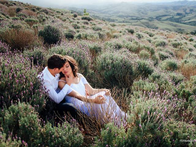 Casal de Pre Wedding em Paraty e Lavandário