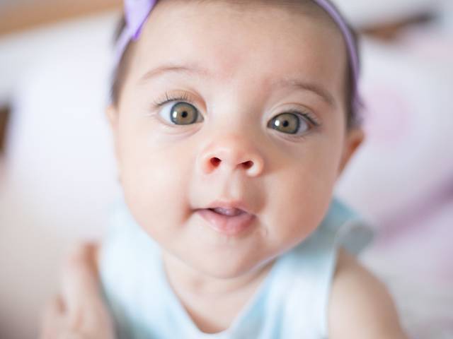 FAMÍLIA | BEBÊS de Acompanhamento Belinha