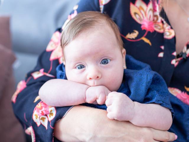 FAMÍLIA | BEBÊS de Acompanhamento Malu