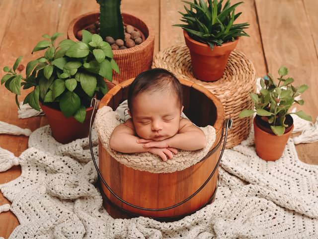 NEWBORN de NETO