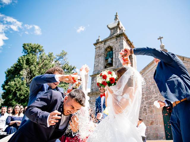 CASAMENTOS de Sofia ❤ Carlos