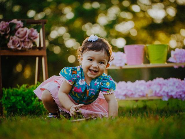 Festa infantil de Liz - Smash the Cake