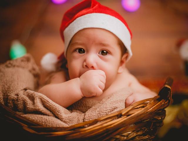 Acompanhamentos de Leo - 2 meses