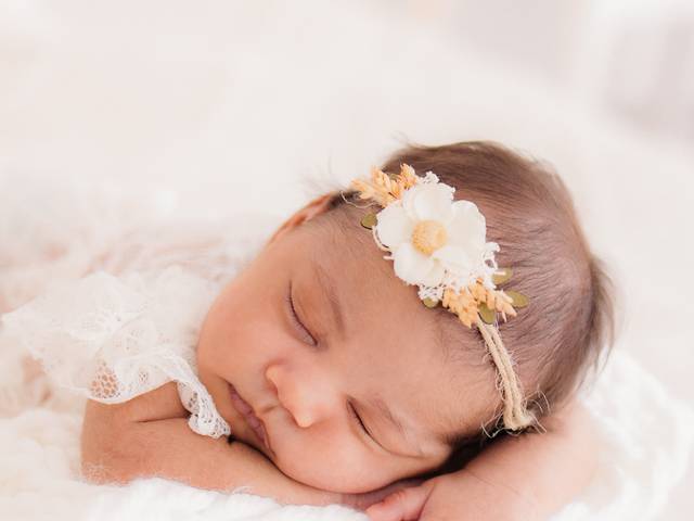 Família de Ensaio Newborn Laura