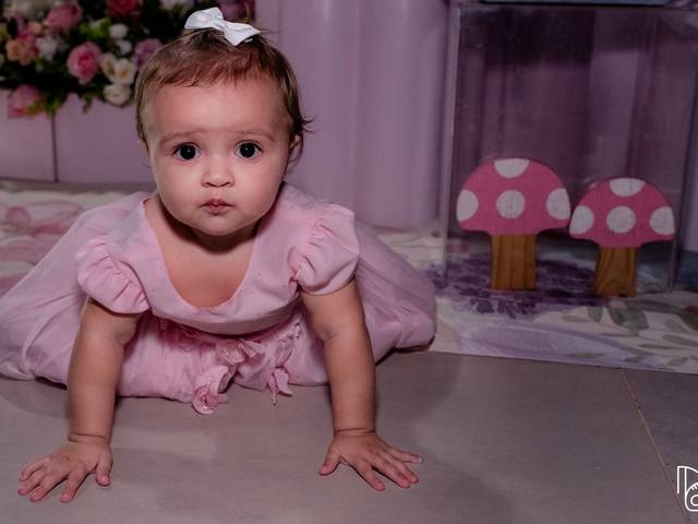 Aniversário Infantil de Maitê - 1 ano