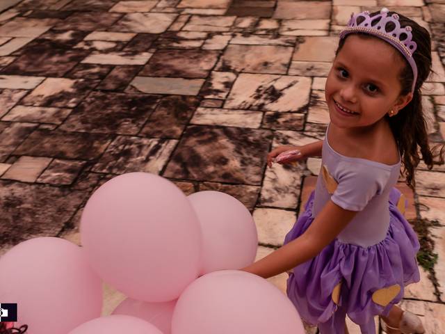 Aniversário Infantil de Sophia