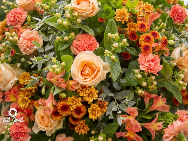 Casamentos de Beatriz e Geraldo