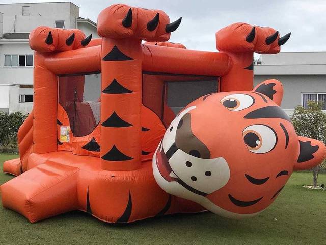 Brinquedos Exclusivos de BOUNCE DO TIGRÃO