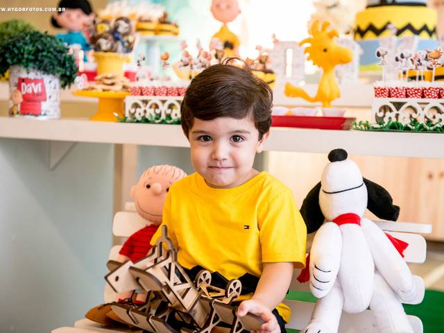 Aniversário Infantil de Davi 2º aninho