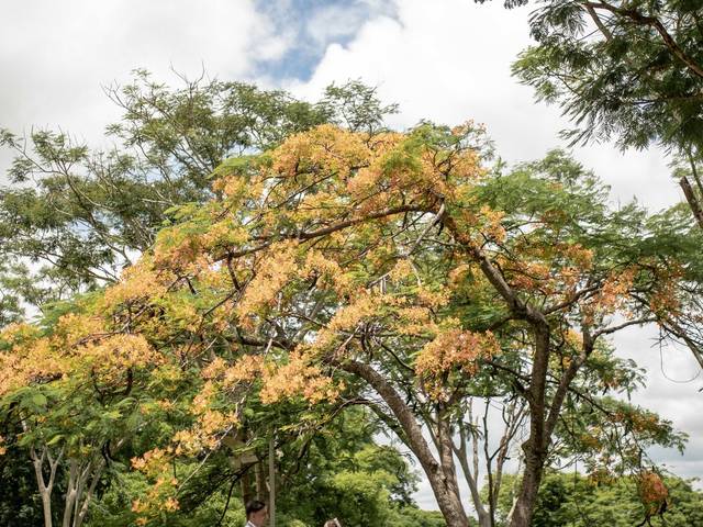 Casamentos de Casamento Karoline e Gustavo 