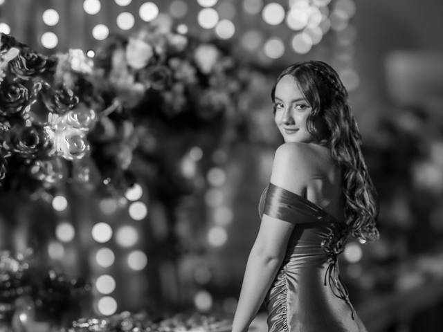 15 anos de Ana Luisa Quinze anos