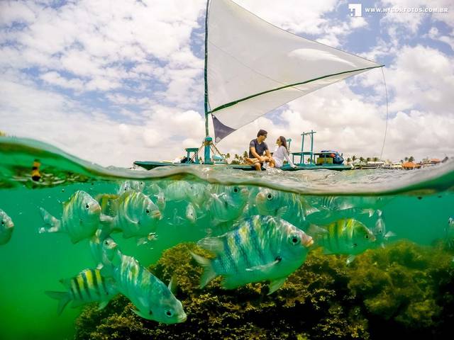 Ensaios Pré e Pós Casamento de Pós casamento Jéssica e Thiago