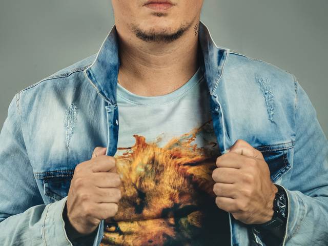 Artista  de Cantores