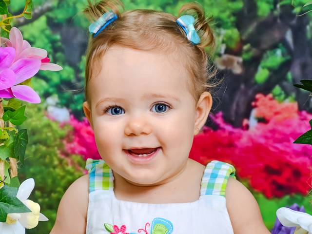 Acompanhamento mensal de Cenário de Jardim