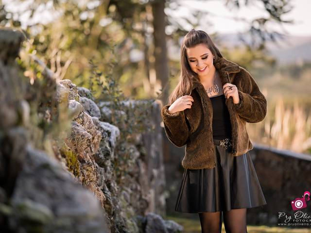 Femininos e 15 Anos de Dani Book de 15 Anos