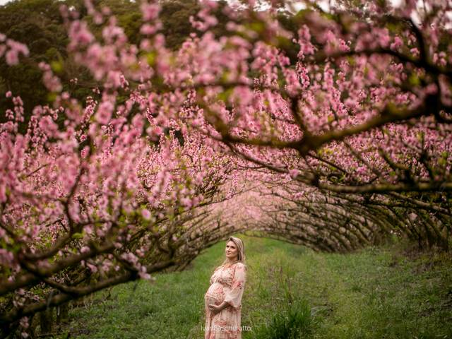 Gestante de Doce espera pelo Ítalo