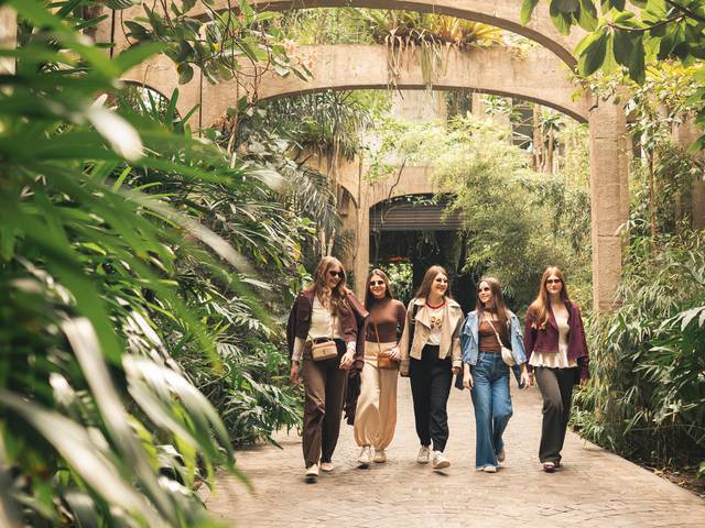 Aniversário / Eventos de Debutantes 2026 - Viagem a São Paulo