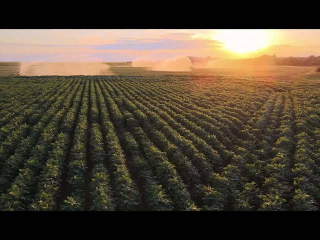 Corporativos de Institucional Fazenda Reascer