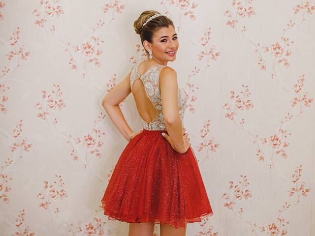 15 Anos de Ana Laura