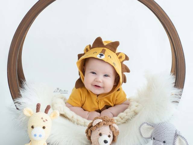 Acompanhamento do Bebê de Pedro Ferreira (3, 6, 9, 12 meses)