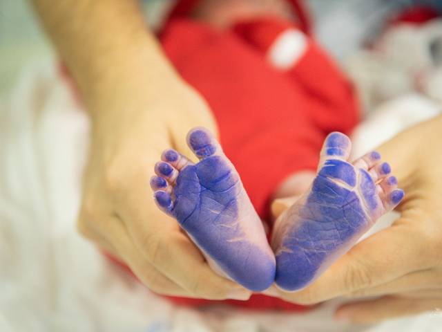 A chegada de A chegada de Benissio Rossi