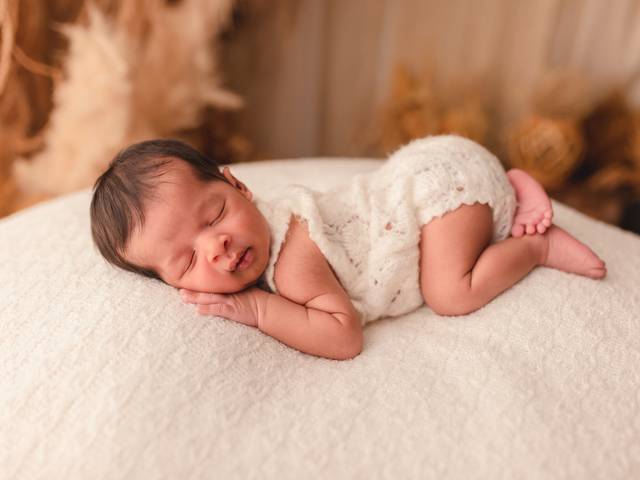 Primeiros Dias de Álvaro - Primeiros Dias