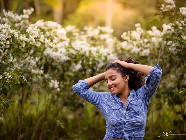 15 Anos de Rebeca I 15 Anos