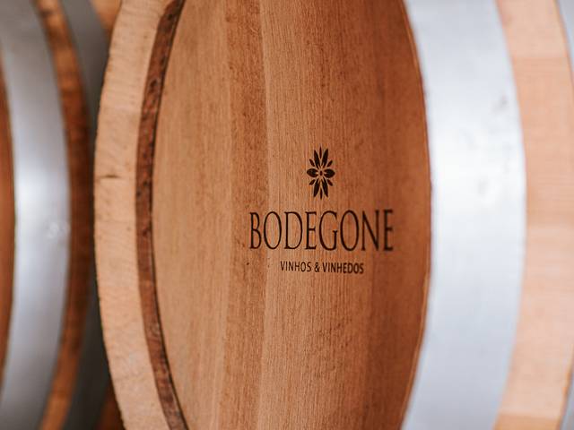 Corporativo de Bodegone - Vinícola e Vinhedos