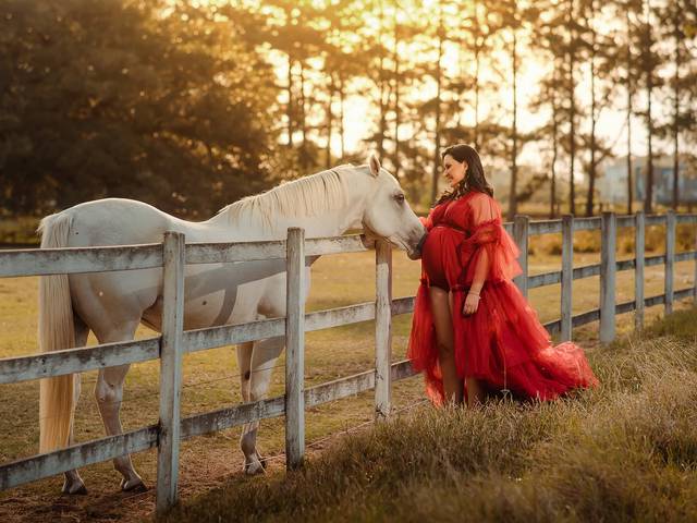 Gestação de Liliane - Ensaio Gestante