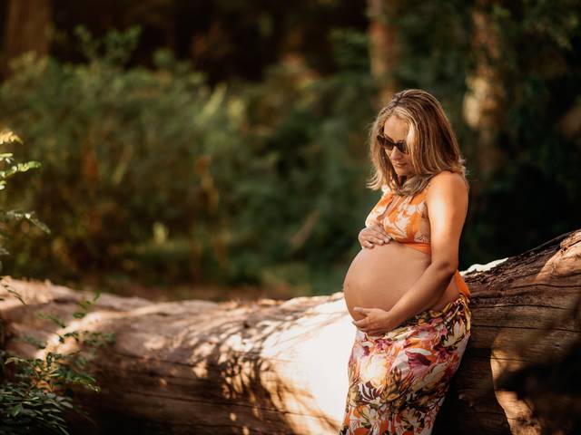 Gestação de Vem Manu <3