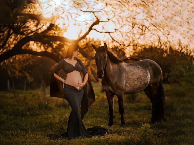 Gestação de Vem Bernardo <3