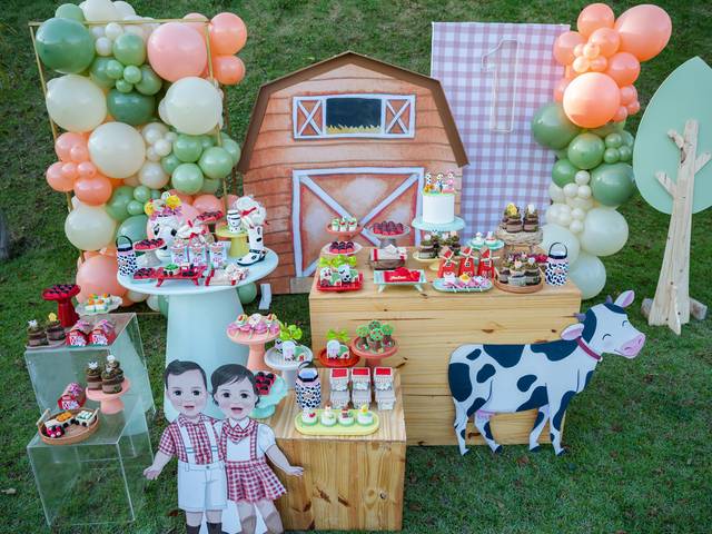 Festa de Aniversário Pedro e Helena