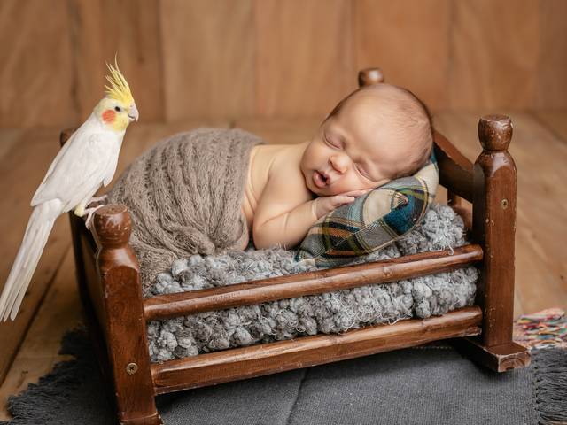 Ensaio Newborn de Newborn Theo