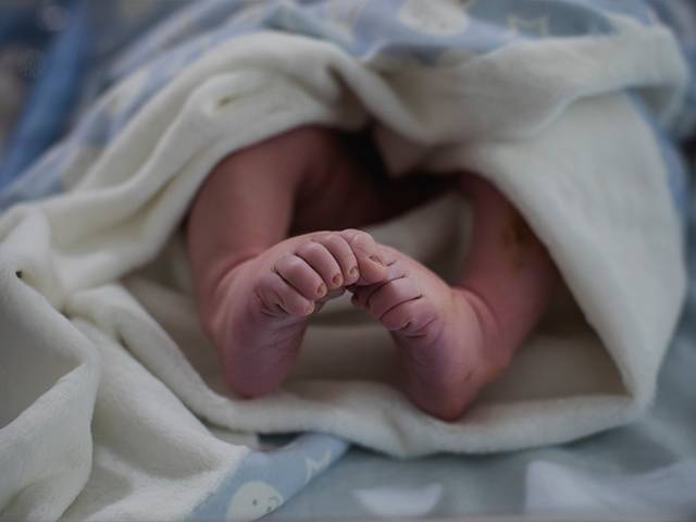 Registro Nascimento de Helena