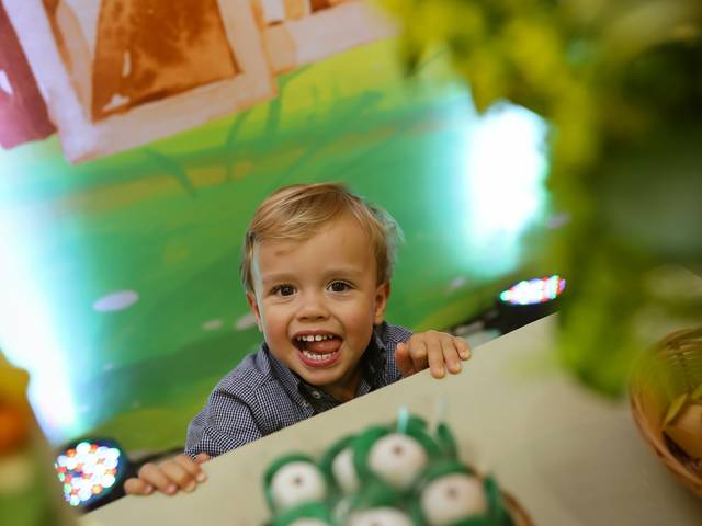 Aniversários de Joaquim - 2 anos