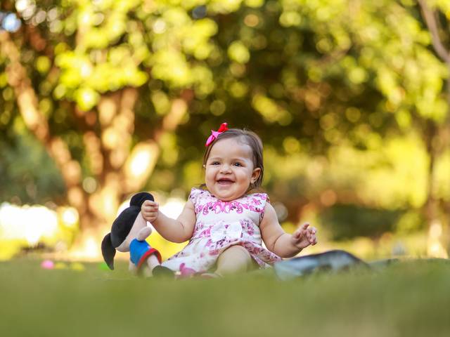 Ensaios de Lara Rosa