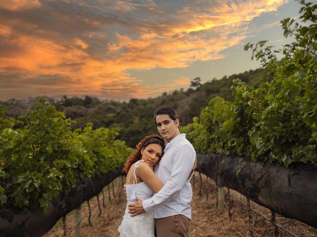 Casamentos de Heloise & Felipe