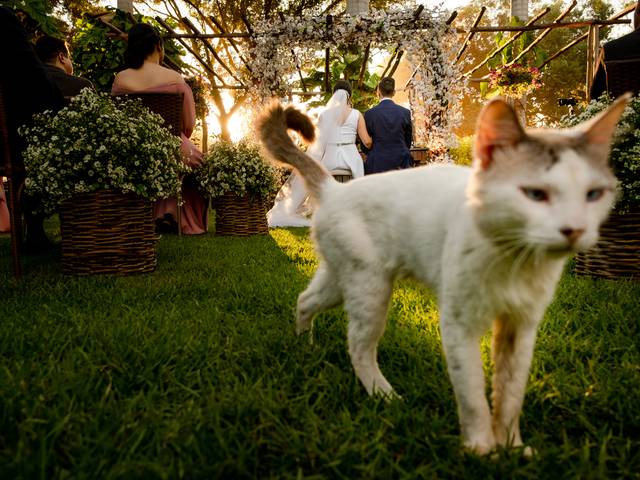 Casamentos de Bruna e Bruno