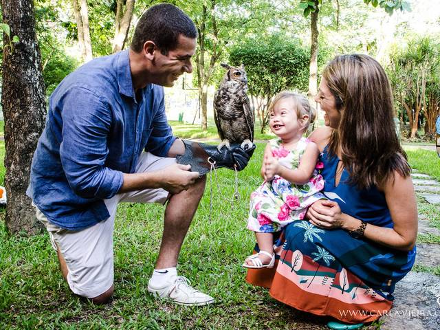 Festas de Alice - 2 anos