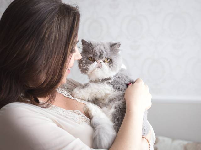 Família de Mônica + Luísa