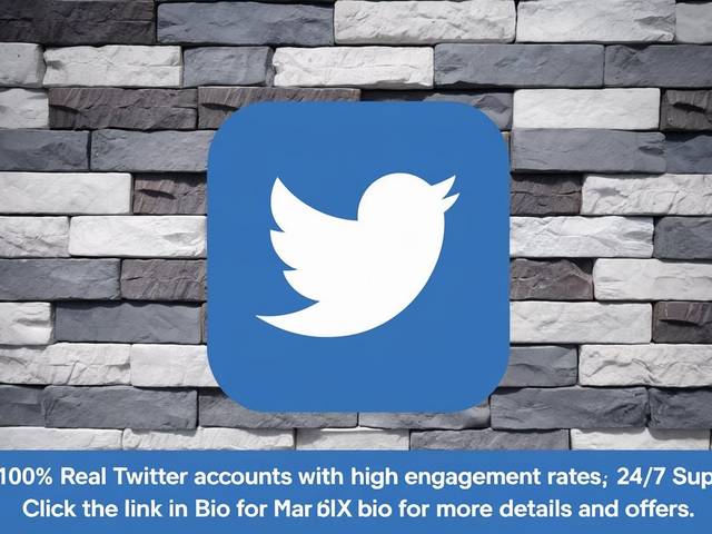 education of Buy Twitter Accounts