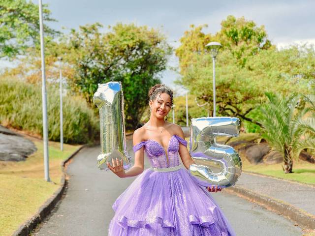 15 Anos de Sophia - 15 Anos