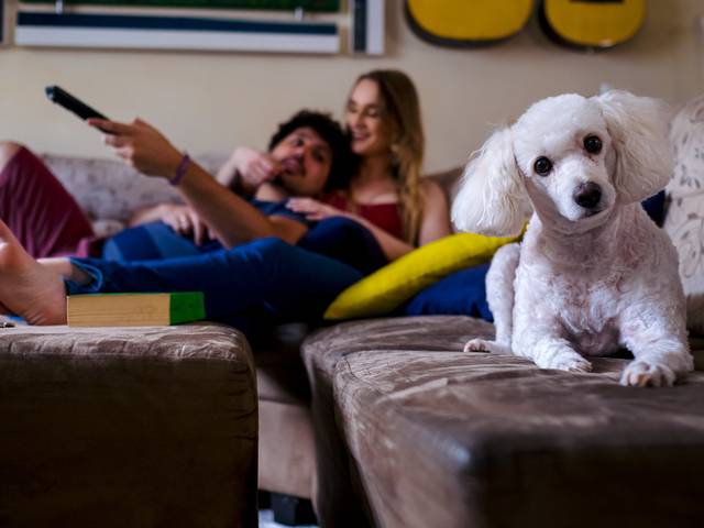 PRÉ CASAMENTO de Pré Wedding na Hamburgueria | Greici + Natan