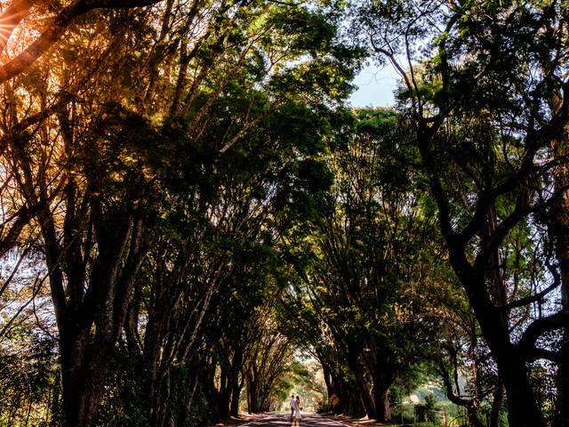 PRÉ CASAMENTO de Ensaio de Pré Wedding | Majorrye + Eduardo
