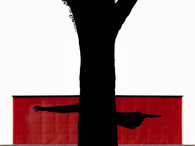 Pré wedding de Carolina e Cristianao