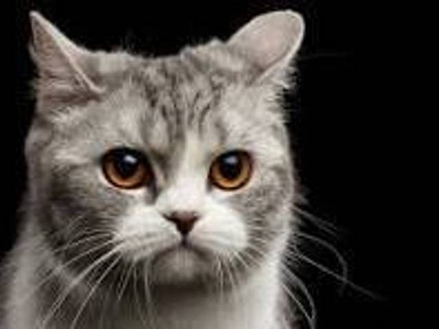 seoindexgoogle of seoindexgoogle