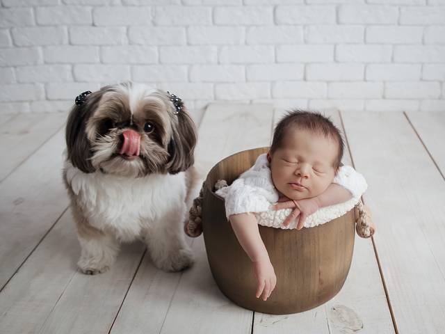 Newborn de Newborn Davi