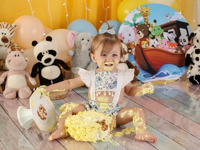 Smash the cake de Ester - Arca de Noé