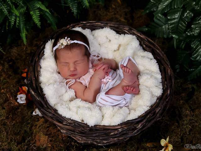 Newborn de Helena 6 dias