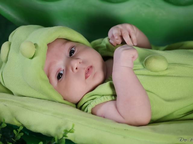 Acompanhamento de João Miguel 2 meses